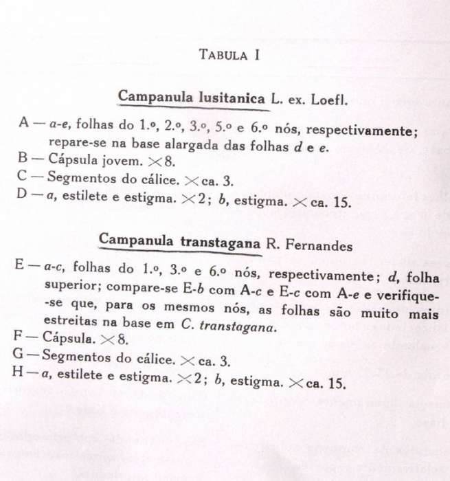 tn_portugal_tabula1.jpg