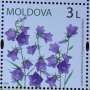 campanula:postzegels:tn_c.persicifolia_moldova_3_.jpg